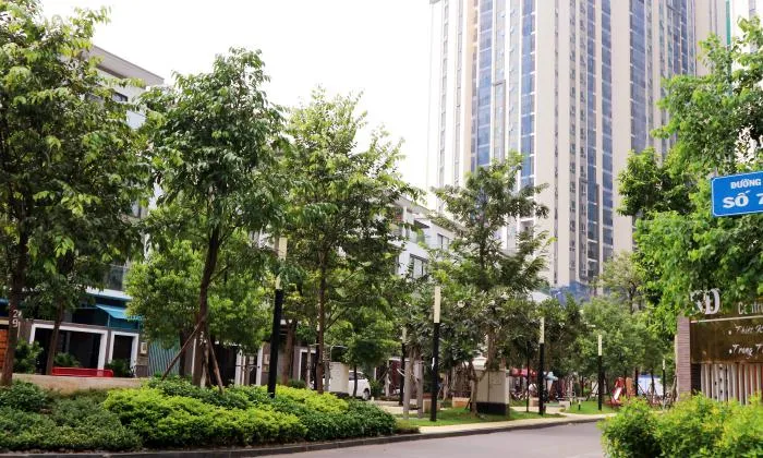 Hado Centrosa Apartment For Rent 