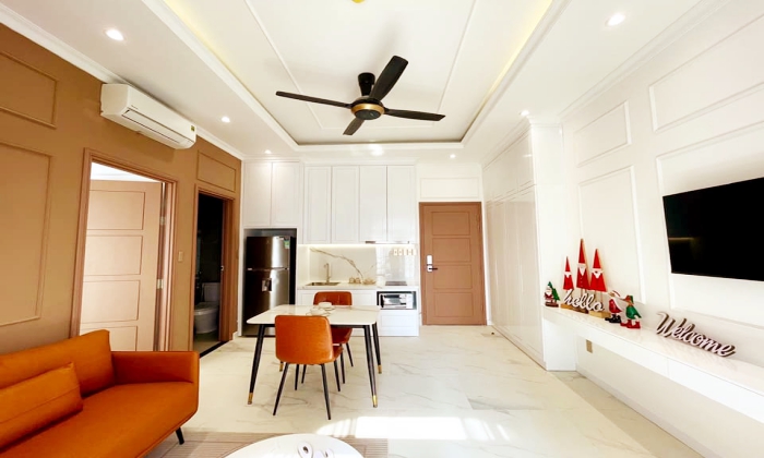 Modern One Bedroom Serviced Apartment For Rent Nguyen Thi Minh Khai Dakao District 1 HCMC