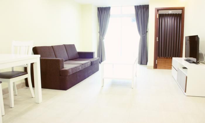 Serviced Apartment  in District 1 Ho Chi Minh City(Saigon)