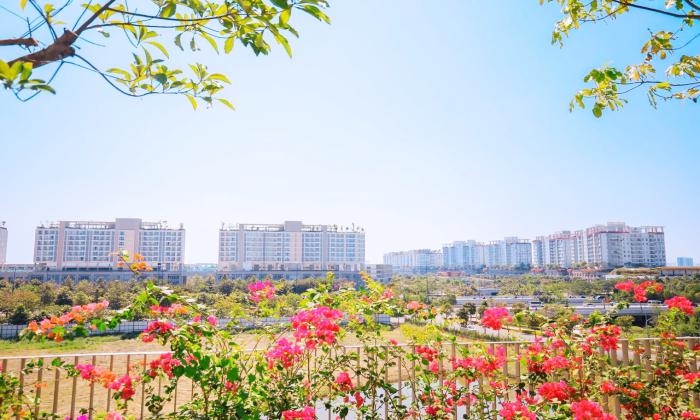Modern Apartment For lease in Sadora Thu Thiem Disrtrict 2 Ho Chi Minh City