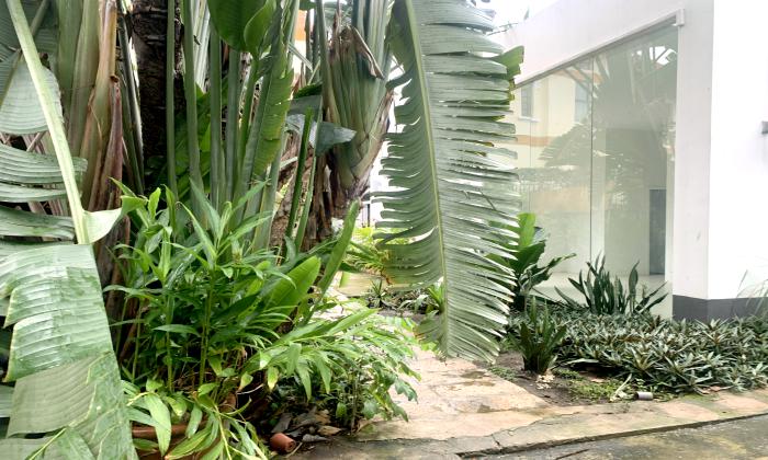 Tropical Garden House For Rent in Road 59 Thao Dien Thu Duc City