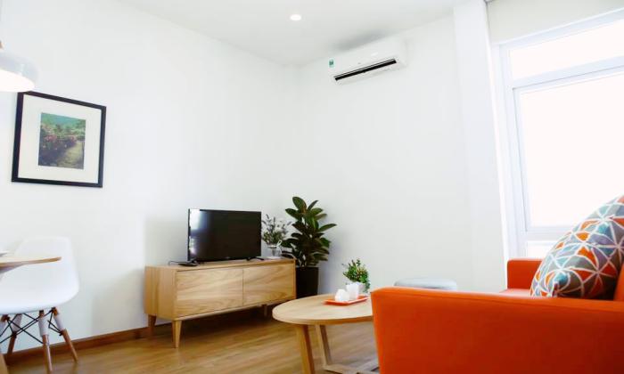 Cool Style One Bedroom Serviced Apartment in Nguyen Trai  St District 1 HCM City