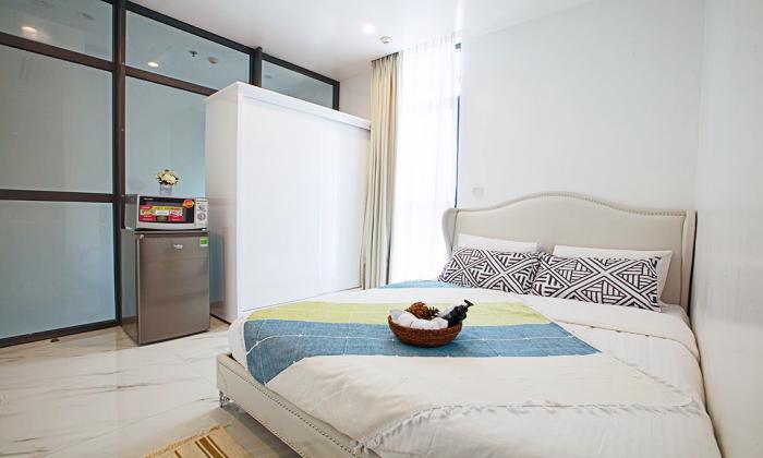 Luxury Studio Apartment in Nguyen Van Thu Street District 1 Ho Chi Minh City