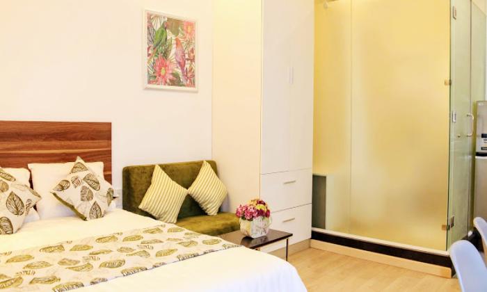 Nice One Bedroom Loft Apartment in Dinh Tien Hoang Street District 1 HCMC 