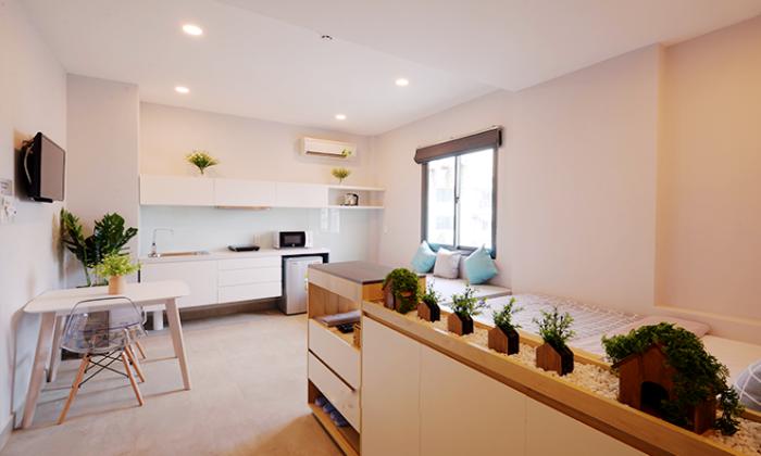 Cute Studio Babylon Garden Serviced For Rent in District 1 Ho Chi Minh City