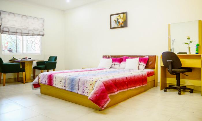 Nice Studio Serviced Apartment For Rent in Vo Thi Sau District 1 HCMC