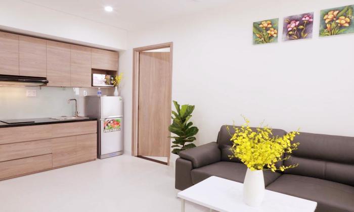 Studio Apartment For Rent in Khouse Building in Dakao District 1 Ho Chi Minh City