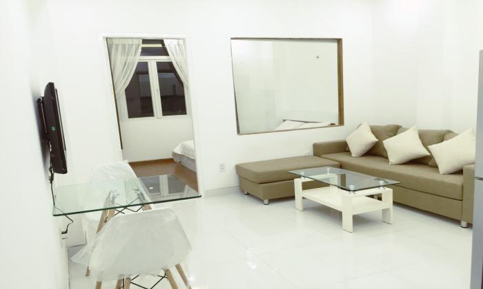 Modern Decoration One Bedroom Apartment For Rent District 1 HCM City