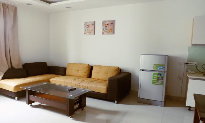 Very Nice Serviced Apartment For Rent, Thao Dien Ward Ho Chi Minh city