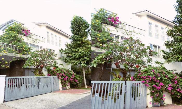 Modern Villa For Lease in Riviera Compound An Phu HCM City